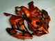 Loja Carenagem Moto Honda CBR 1000RR 04-05 - Castanho Preto Loja Carenagem Moto Honda CBR 1000RR 04-05 - Castanho Preto