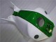 Loja Carenagem Moto Honda CBR 1000RR 04-05 - Verde Branco Loja Carenagem Moto Honda CBR 1000RR 04-05 - Verde Branco