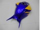 Loja Carenagem Moto Honda CBR 1000RR 06-07 - Amarelo Azul Loja Carenagem Moto Honda CBR 1000RR 06-07 - Amarelo Azul