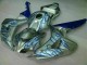 Loja Carenagem Moto Honda CBR 1000RR 06-07 - Azul Chama Prata Loja Carenagem Moto Honda CBR 1000RR 06-07 - Azul Chama Prata