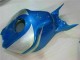 Loja Carenagem Moto Honda CBR 1000RR 06-07 - Azul Prata Loja Carenagem Moto Honda CBR 1000RR 06-07 - Azul Prata