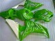 Loja Carenagem Moto Honda CBR 1000RR 06-07 - Verde Loja Carenagem Moto Honda CBR 1000RR 06-07 - Verde