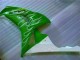 Loja Carenagem Moto Honda CBR 1000RR 06-07 - Verde Loja Carenagem Moto Honda CBR 1000RR 06-07 - Verde