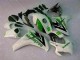 Loja Carenagem Moto Honda CBR 1000RR 08-11 - Verde Branco Loja Carenagem Moto Honda CBR 1000RR 08-11 - Verde Branco