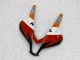 Loja Carenagem Moto Honda CBR 600RR 09-12 - Laranja Repsol Loja Carenagem Moto Honda CBR 600RR 09-12 - Laranja Repsol