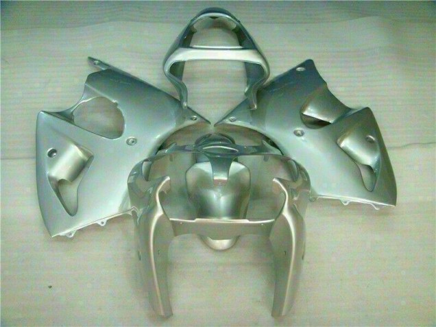 Loja Carenagem Moto Kawasaki ZX6R 00-02 - Prata