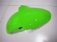 Loja Carenagem Moto Kawasaki ZX6R 00-02 - Verde Branco Preto Loja Carenagem Moto Kawasaki ZX6R 00-02 - Verde Branco Preto