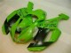 Loja Carenagem Moto Kawasaki ZX6R 07-08 - Verde Preto Dunlop Loja Carenagem Moto Kawasaki ZX6R 07-08 - Verde Preto Dunlop