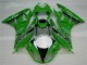 Loja Carenagem Moto Kawasaki ZX6R 09-12 - Verde Preto LeoVince Loja Carenagem Moto Kawasaki ZX6R 09-12 - Verde Preto LeoVince