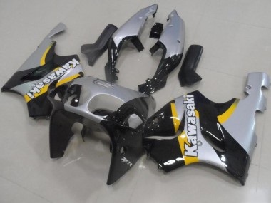 Loja Carenagem Moto Kawasaki ZX9R 00-01 - Prata & Preto