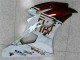 Loja Carenagem Moto Yamaha R6 06-07 - Castanho Branco Loja Carenagem Moto Yamaha R6 06-07 - Castanho Branco