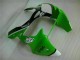 Loja Injeção Kits Carenagem Moto Kawasaki ZX6R 00-02 - Verde Preto Loja Injeção Kits Carenagem Moto Kawasaki ZX6R 00-02 - Verde Preto