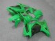 Loja Kit Carenagem Moto Kawasaki EX250 08-12 - Verde Loja Kit Carenagem Moto Kawasaki EX250 08-12 - Verde