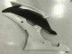 Loja Kit Carenagem Moto Yamaha R6 08-16 - Branco Loja Kit Carenagem Moto Yamaha R6 08-16 - Branco
