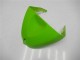 Loja Kits Carenagem Moto Kawasaki ZX6R 05-06 - Verde Loja Kits Carenagem Moto Kawasaki ZX6R 05-06 - Verde