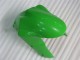 Loja Kits Completo Carenagem Moto Kawasaki ZX6R 05-06 - Verde Loja Kits Completo Carenagem Moto Kawasaki ZX6R 05-06 - Verde