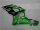 Loja Moto Plásticos Suzuki GSXR 1000 K5 05-06 - Verde Loja Moto Plásticos Suzuki GSXR 1000 K5 05-06 - Verde